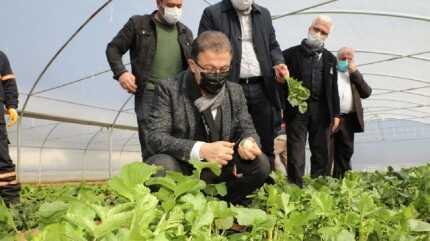 Belediyenin kurdu�u seralarda yeti�en sebzeler ihtiya� sahiplerine ula�t�r�l�yor