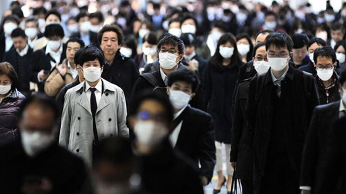 Japonya'da 234 kiide mutasyonlu virs grld