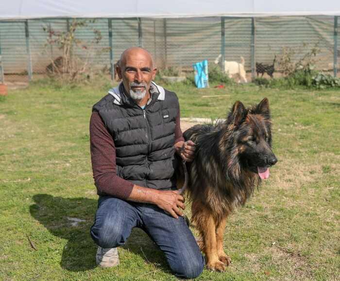 Havlayan köpek ısırmaz mı? Köpek Irkları ve Kinoloji Federasyonu anlattı