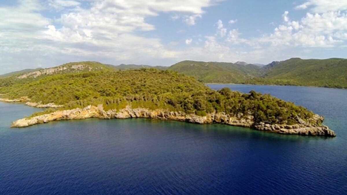 Karaca Adas'nn sahibi 35 milyon liralk indirim yapt