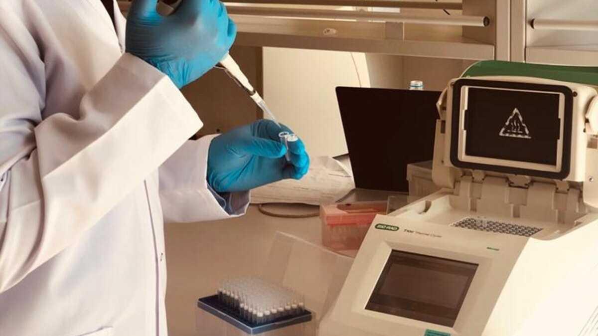 Koronavirste imdiye dek 12 bin mutasyon tespit edildi