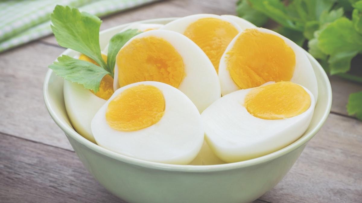rnek protein: yumurta