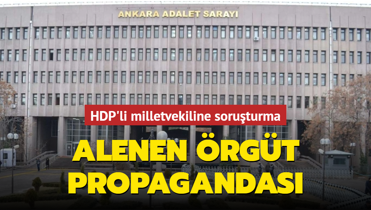 Alenen rgt propagandas... HDP'li Berdan ztrk'e soruturma balatld
