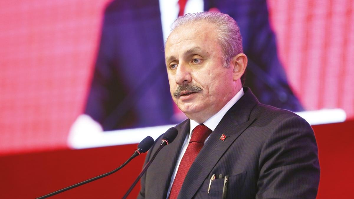 TBMM Başkanı Mustafa Şentop: Gergerlioğlu için AYM beklenmez