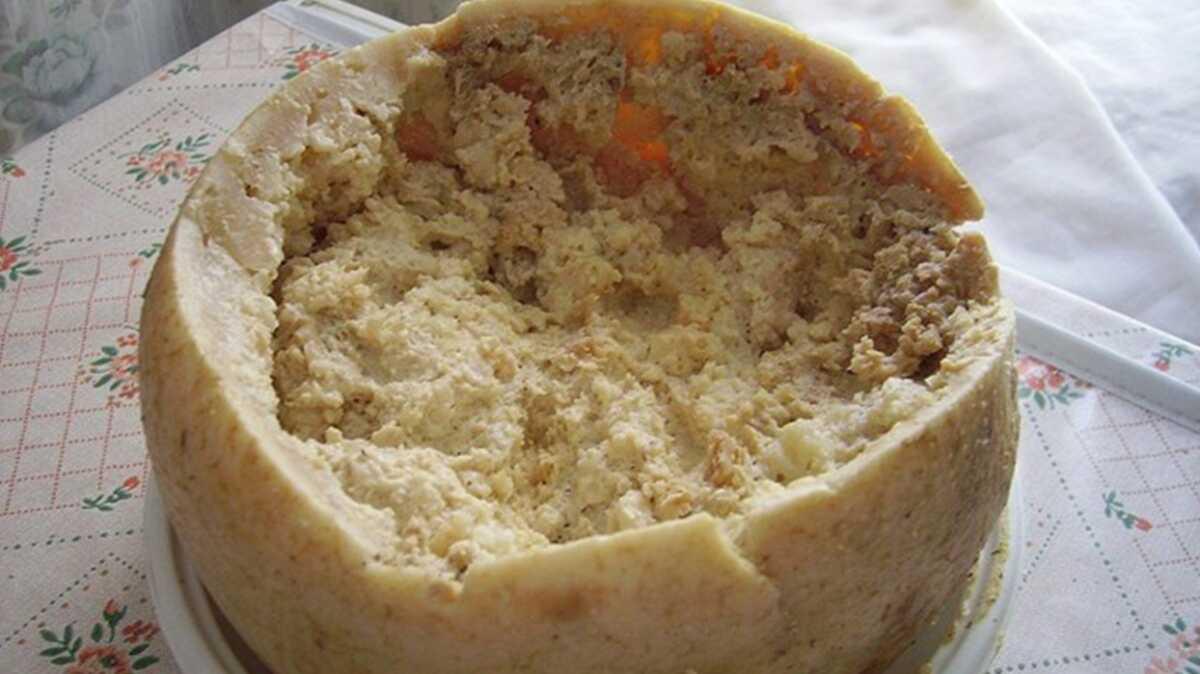 Dnyann en "tehlikeli" peyniri "casu marzu"yu satmann cezas 60 bin dolar!