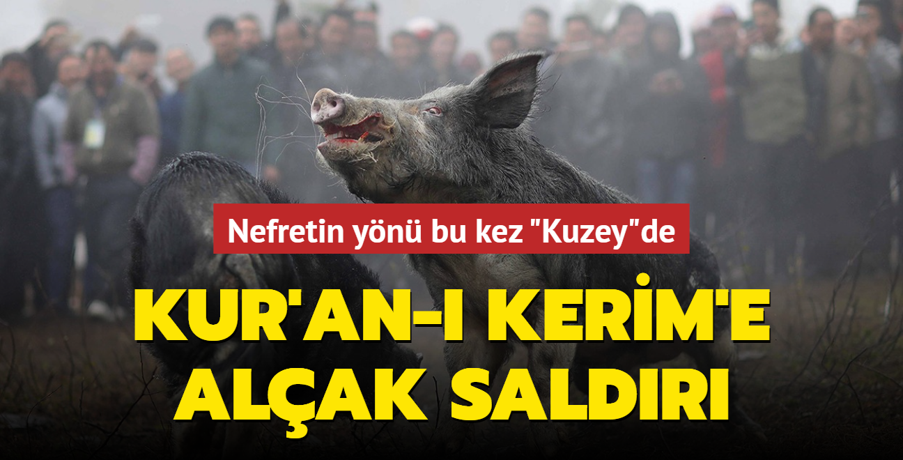 sve'te Kur'an- Kerim'in zerine domuz kafas koydular!