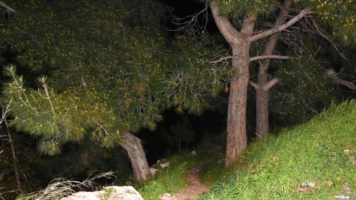 Ormanlk alanda korkutan manzara: Bir kadna ait kafatas ve kaburga kemii bulundu