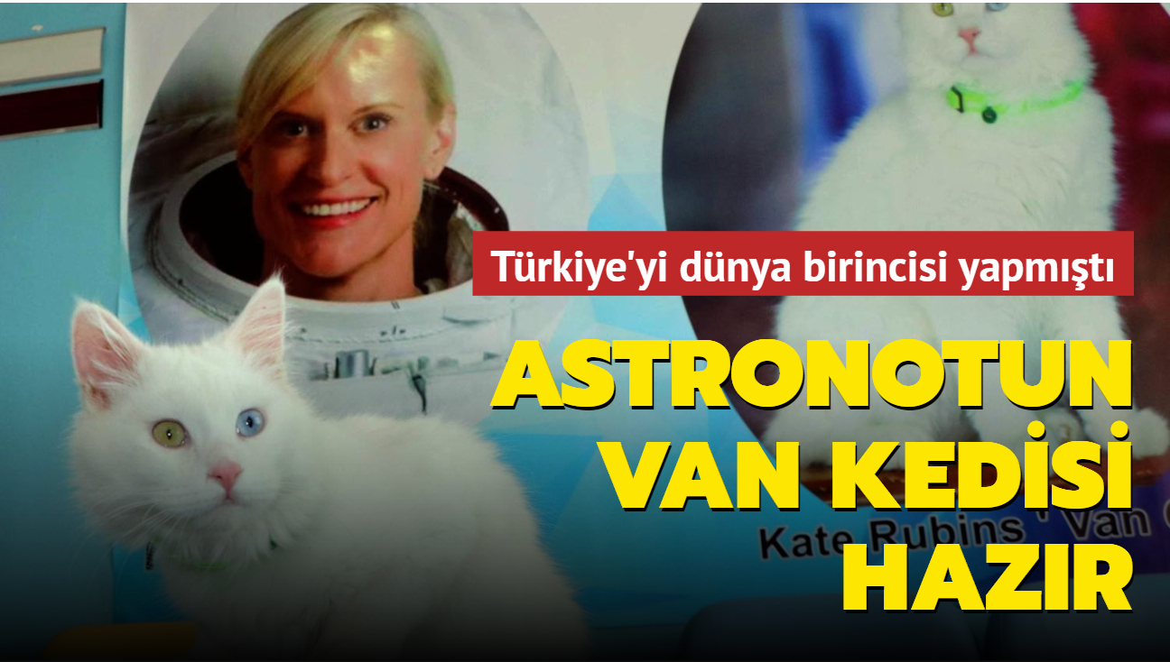 Türkiye'yi dünya birincisi yapmıştı: NASA astronotunun Van kedisi hazır