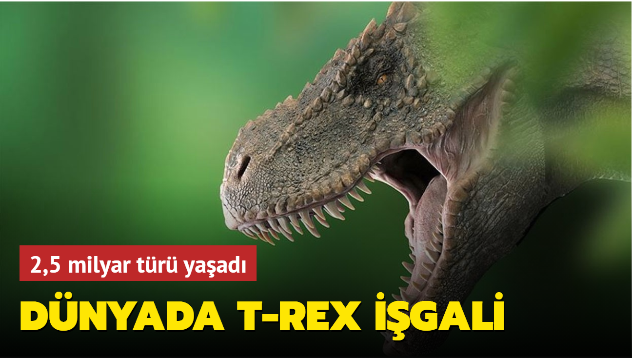 Dnyada T-rex dinozor igali: 2,5 milyar tr yaad