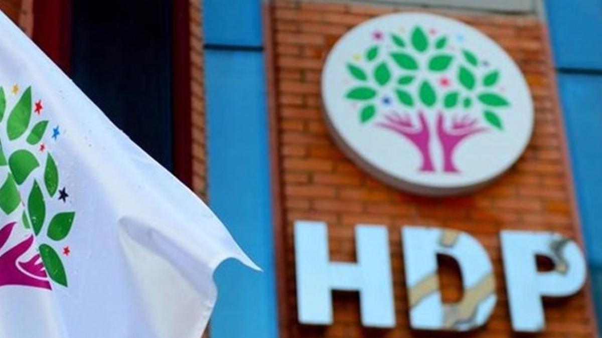 HDP'li Yldz etin'in cezas belli oldu