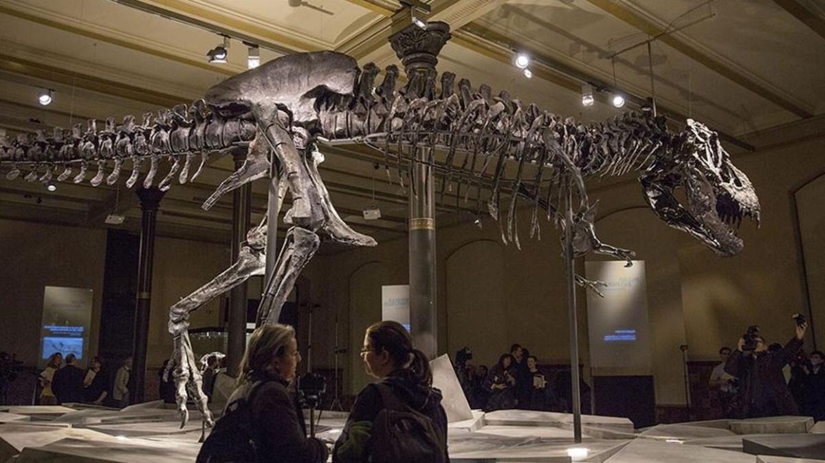 Yaplan aratrmada ortaya kt... "T-Rex" dinozor trnn sanlandan olduka yava yrd belirlendi