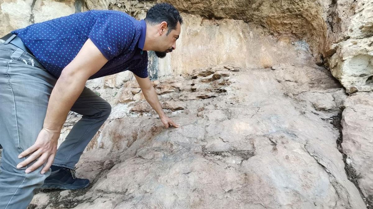 Mersin'de bir maarada 8 bin yllk hayvan resimleri arkeologlar heyecanlandrd