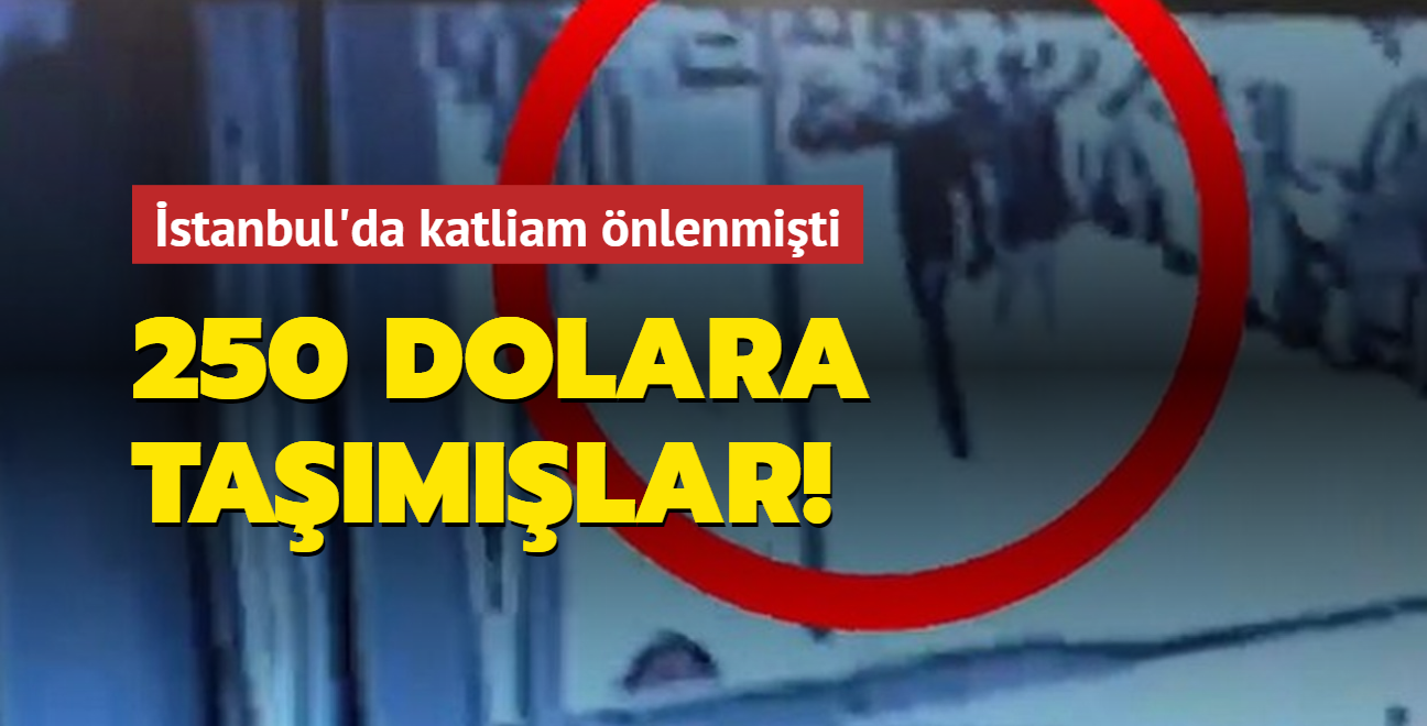 İstanbul'da katliam önlenmişti: 250 dolara taşımışlar
