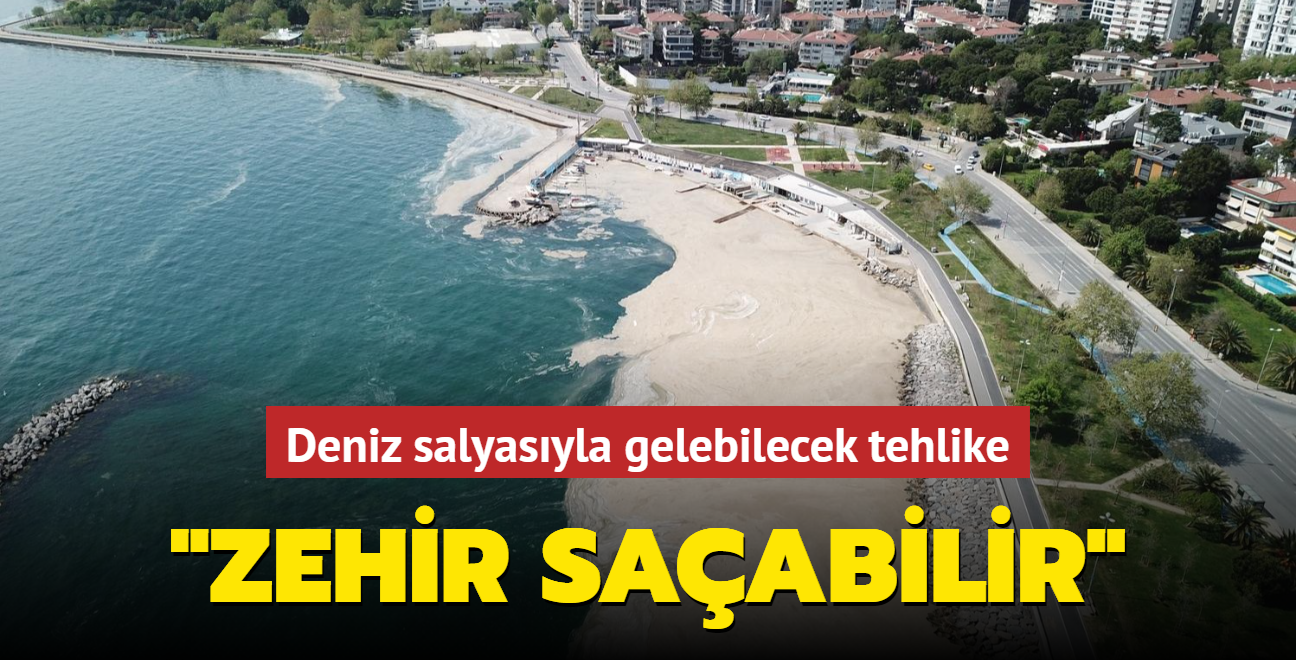 Marmara Denizi'nde deniz salyas zehir saabilir