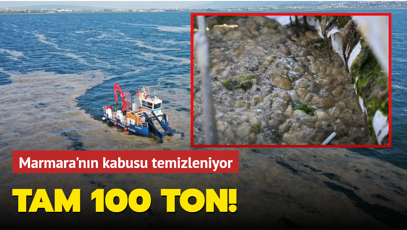 İzmit Körfezi'nde yapılan çalışmalarda 100 ton salya temizlendi