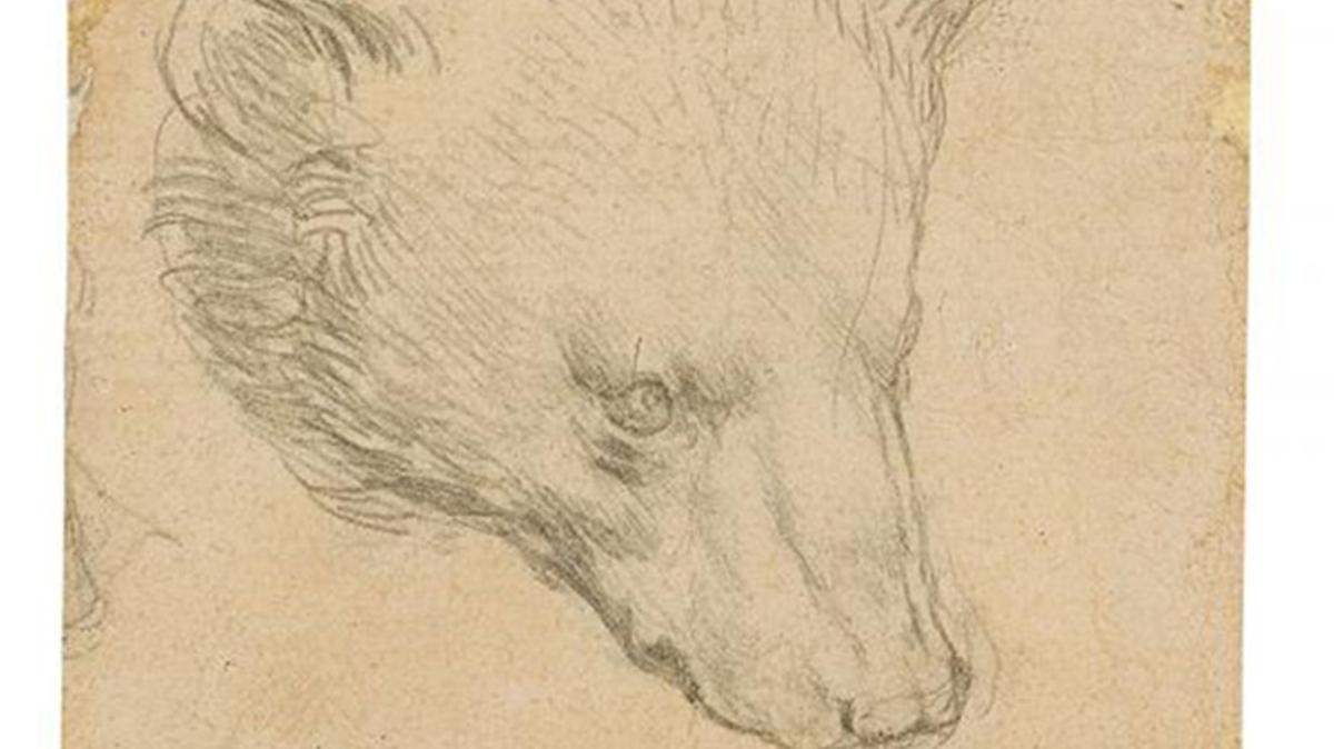 Leonardo Da Vinci'nin ayı kafası çizimine 138 milyon TL