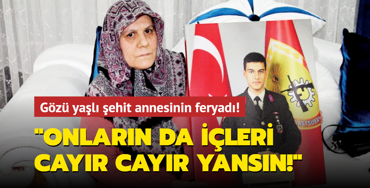 Gz yal ehit annesinin feryad: PKK'nn da ii yansn!