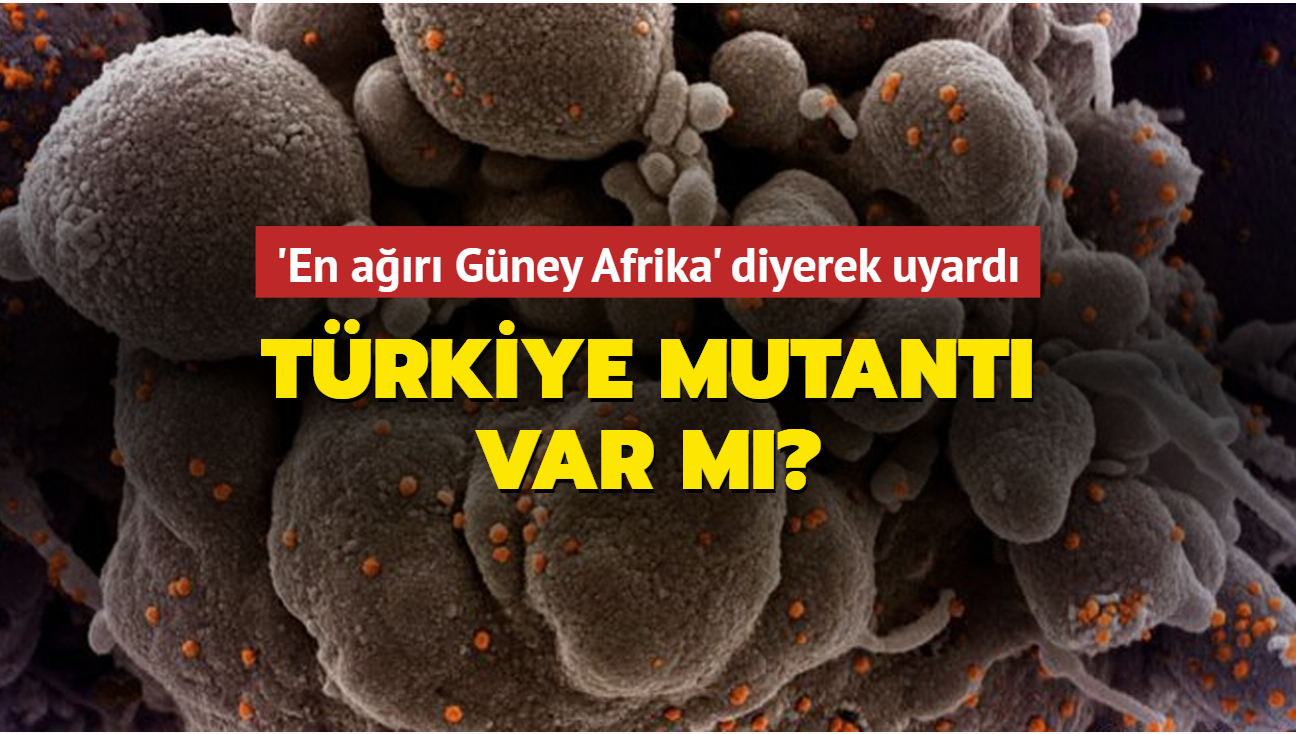 'En ar Gney Afrika' dedi ve ekledi: Trkiye mutant var m"