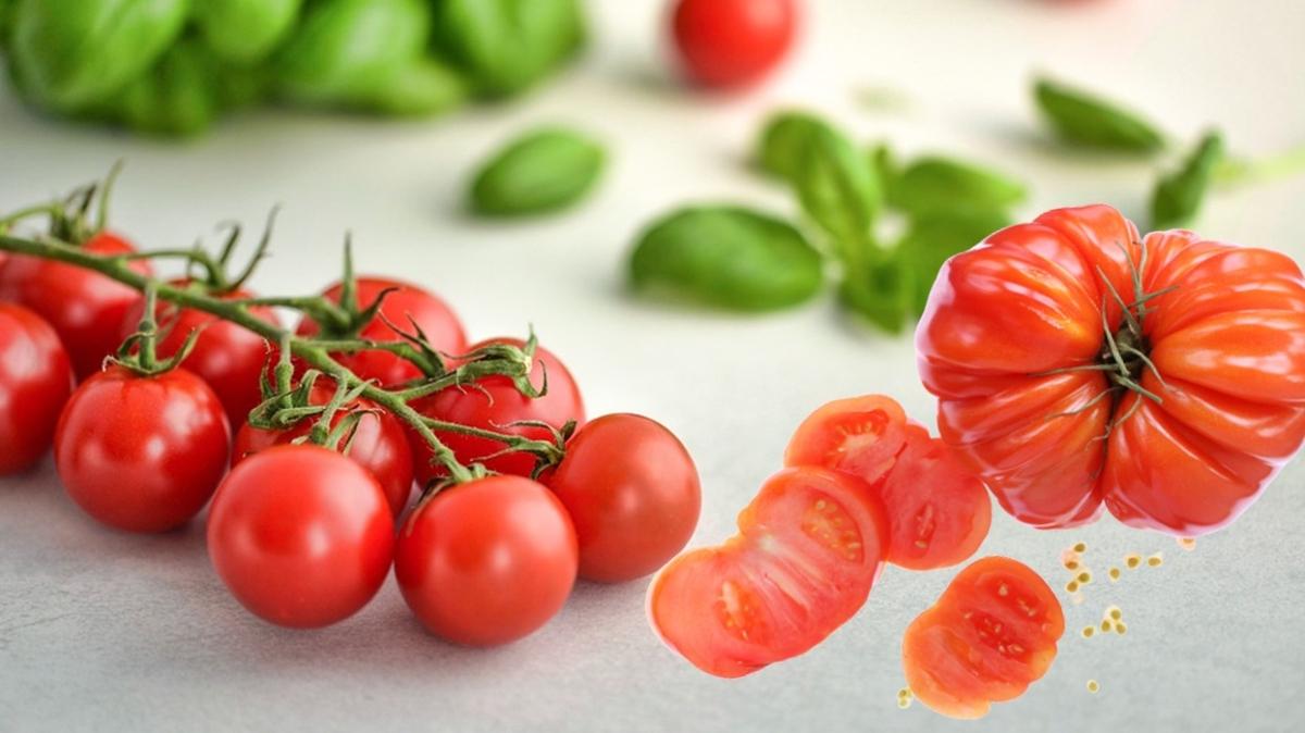 Krmz domates mi pembe domates mi daha faydal" te domatesle ilgili bilinmeyenler