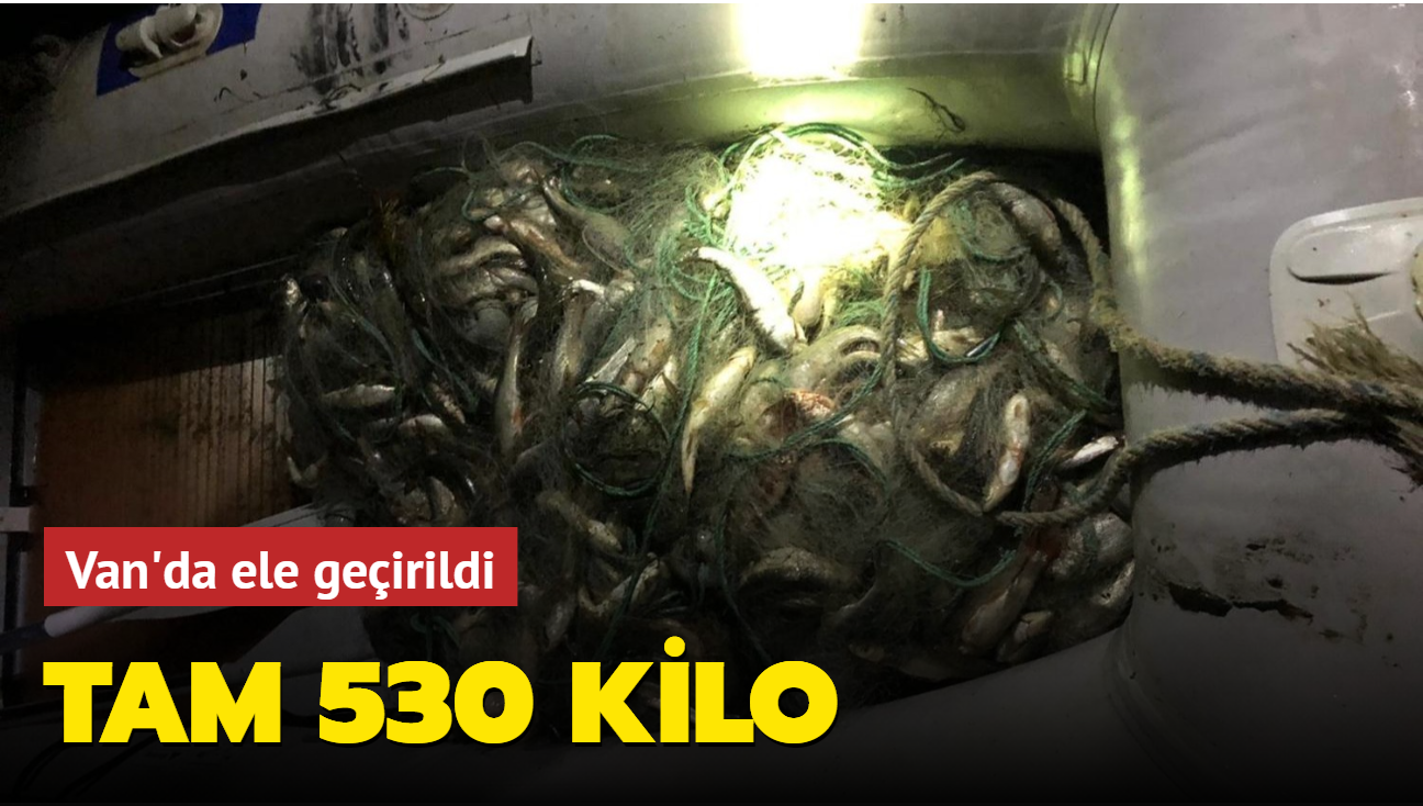 Kaak avland tespit edilen 530 kilo inci kefali Van'da ele geirildi