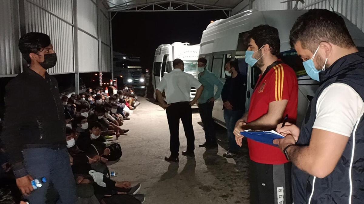 66 kaçak göçmeni 2 minibüsle balık istifi taşıyan zanlılar tutuklandı