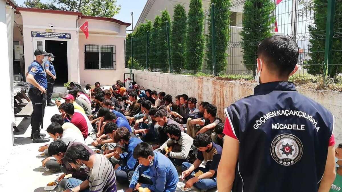 14 yolcu kapasiteli minibste balk istifi tanan 74 gmen kurtarld