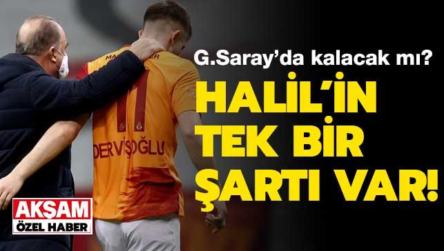 ZEL! Son dakika Galatasaray haberleri... Halil Derviolu: Fatih Terim varsa ben de varm