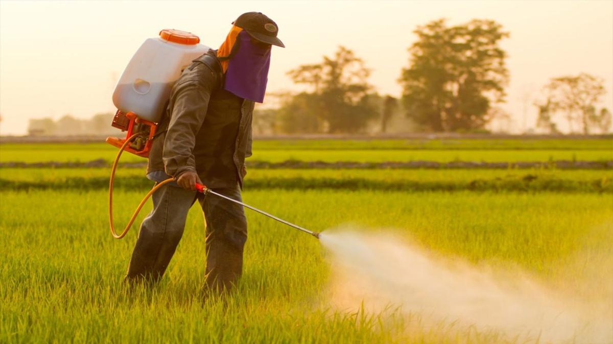Pestisitler meme kanseri riskini 9 kat arttryor