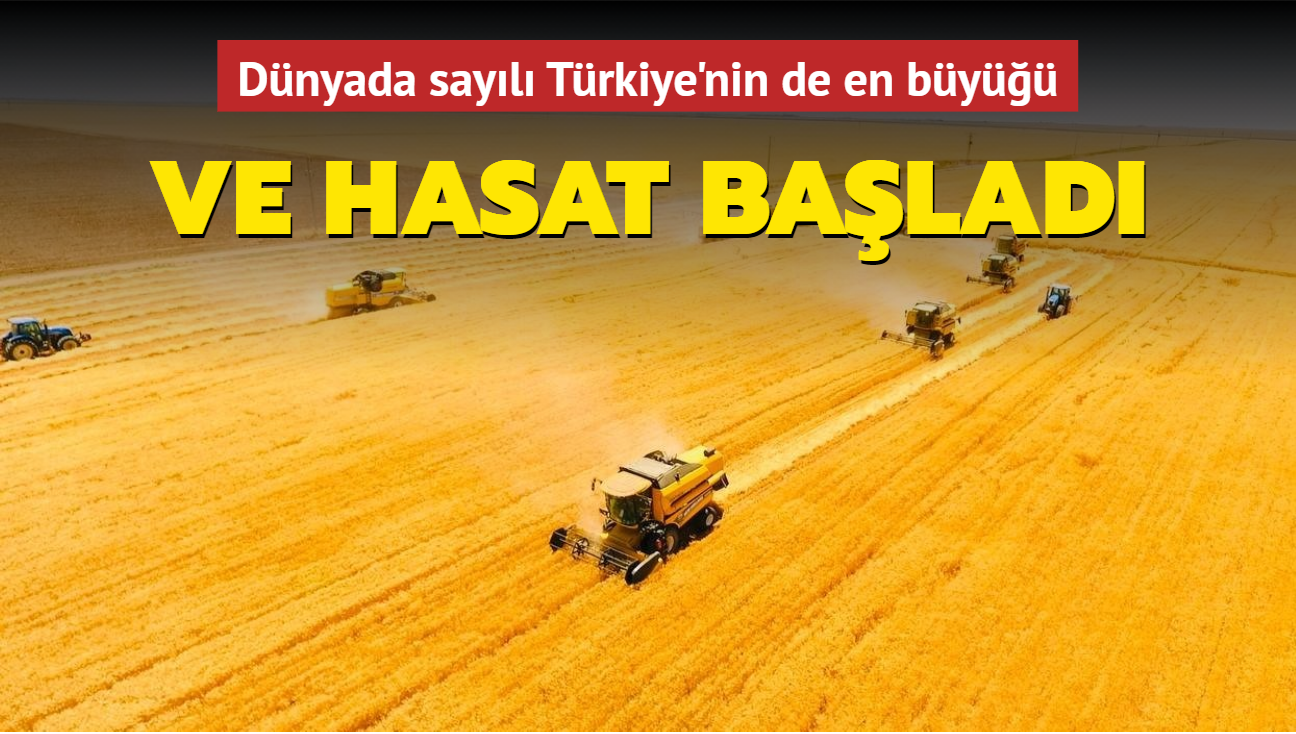Dnyada sayl Trkiye'nin de en by: Ceylanpnar Tarm letmesinde hasat balad