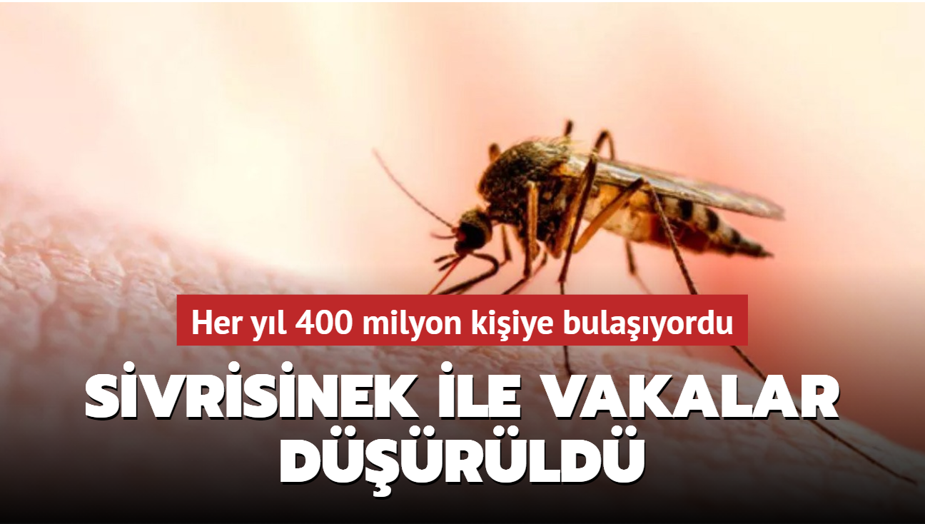 Dang hummas virs her yl 400 milyon kiiye bulayordu: Sivrisinek ile vakalar drld