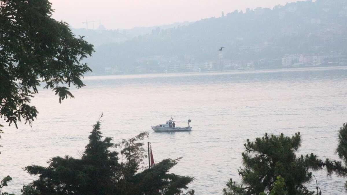 Marmara Denizi'nde midye uyars