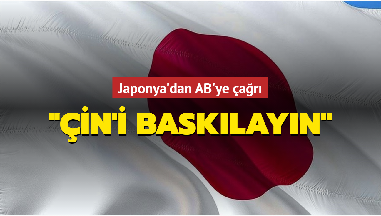 Japonya'dan AB'ye çağrı: 'Çin'i baskılayın'