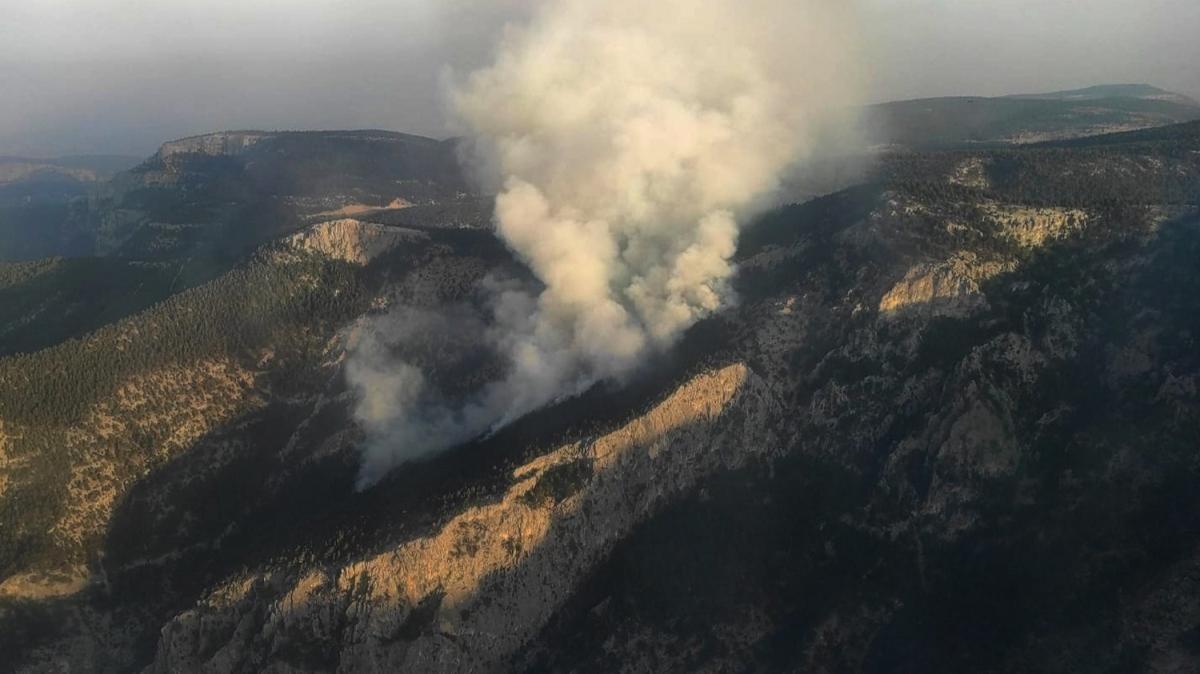 Mersin'in Tarsus ilçesinde orman yangını