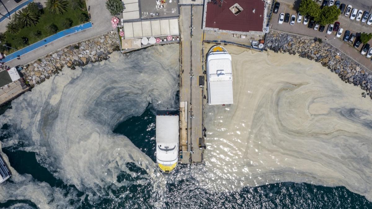 Marmara Denizi'nde msilaj temizliinde son durum