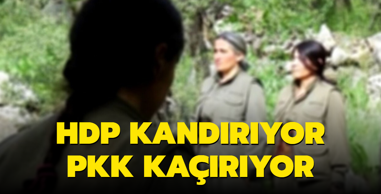 HDP kandryor PKK karyor