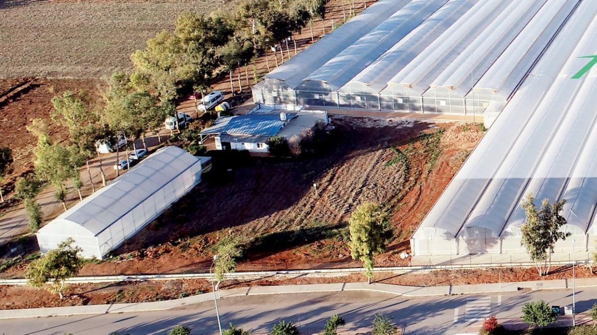 Antalya'ya tohum teknoloji merkezi