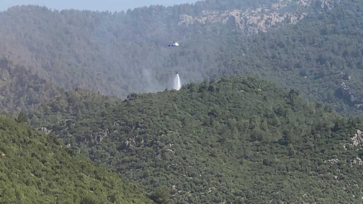 Son dakika haberi... Mersin-Hatay'daki yangn kontrol altnda: 4 gzalt!