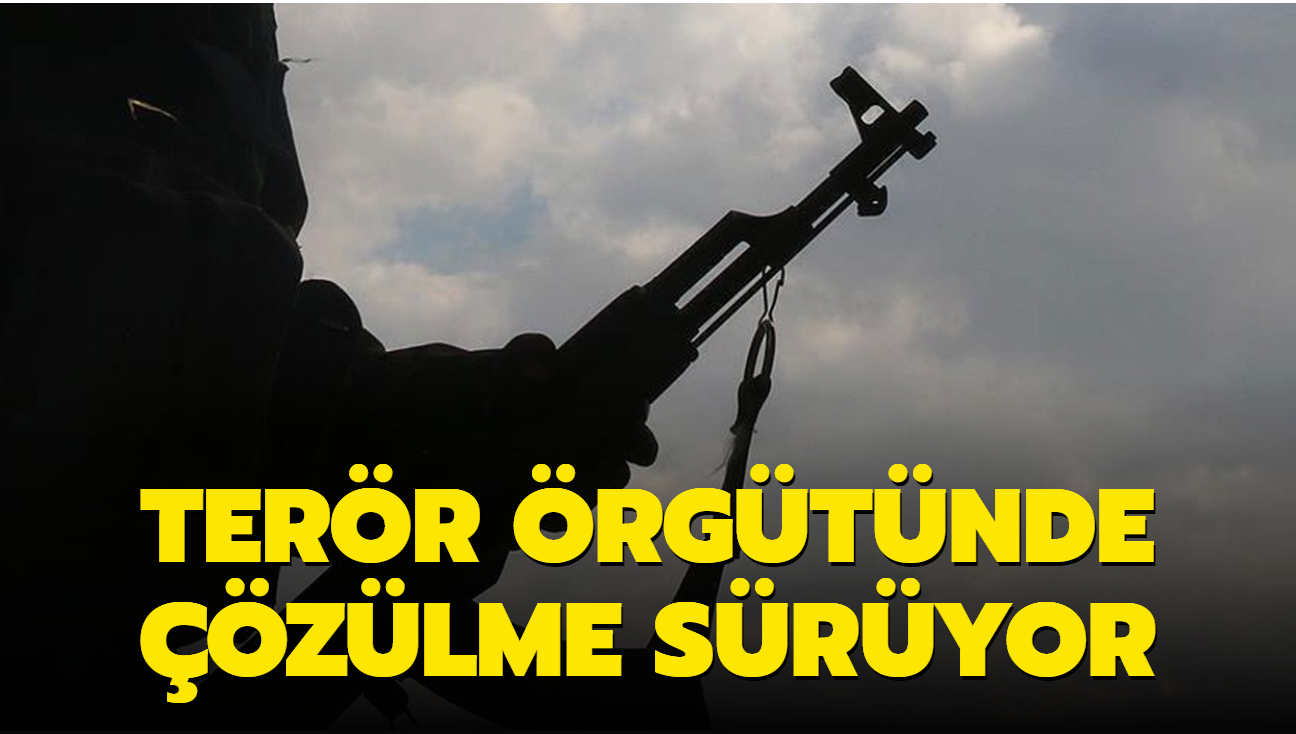 Terr rgt PKK'da zlme sryor... 5 terrist teslim oldu