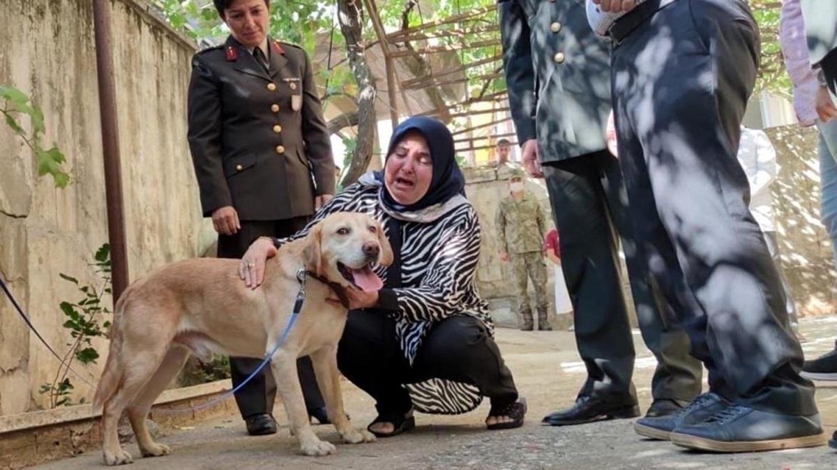 Şehit onbaşı Ahmet Akdal'ın köpeği 'Atmaca' şehidin ailesine verildi