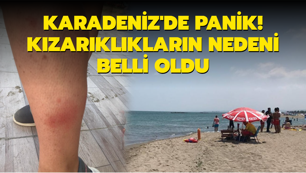 Karadeniz'de byk panik! Kzarklklarn nedeni belli oldu