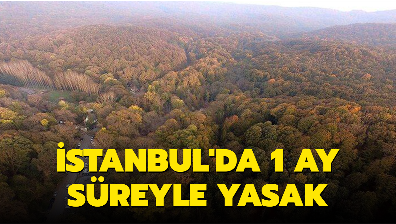 stanbul Valilii son dakika duyurdu: stanbul'da ormanlara giri yasakland