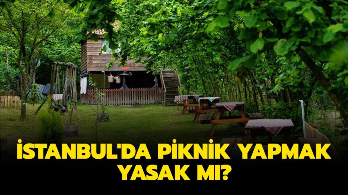 İstanbul'da ormana gitmek yasaklandı mı" İstanbul'da piknik, mangal yapmak yasak mı" 
