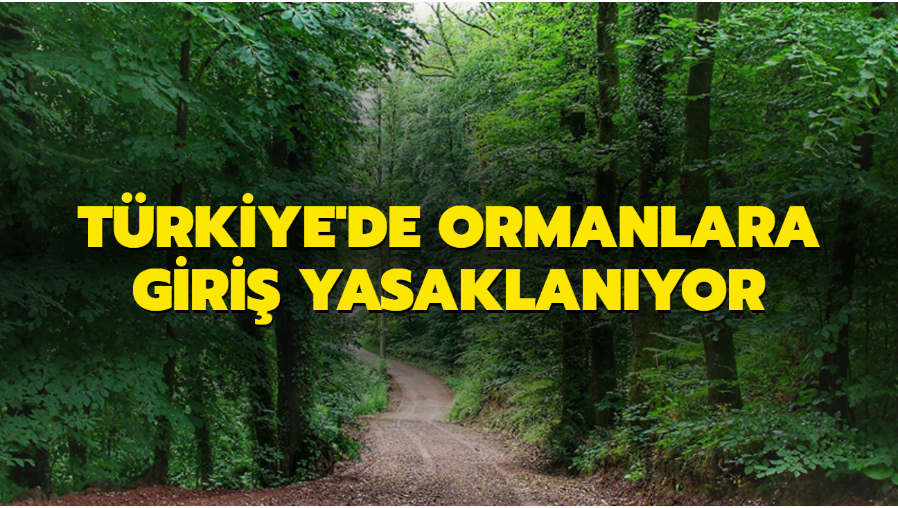 Valiliklerden aklamalar geldi... Trkiye'de ormanlara giri yasaklanyor