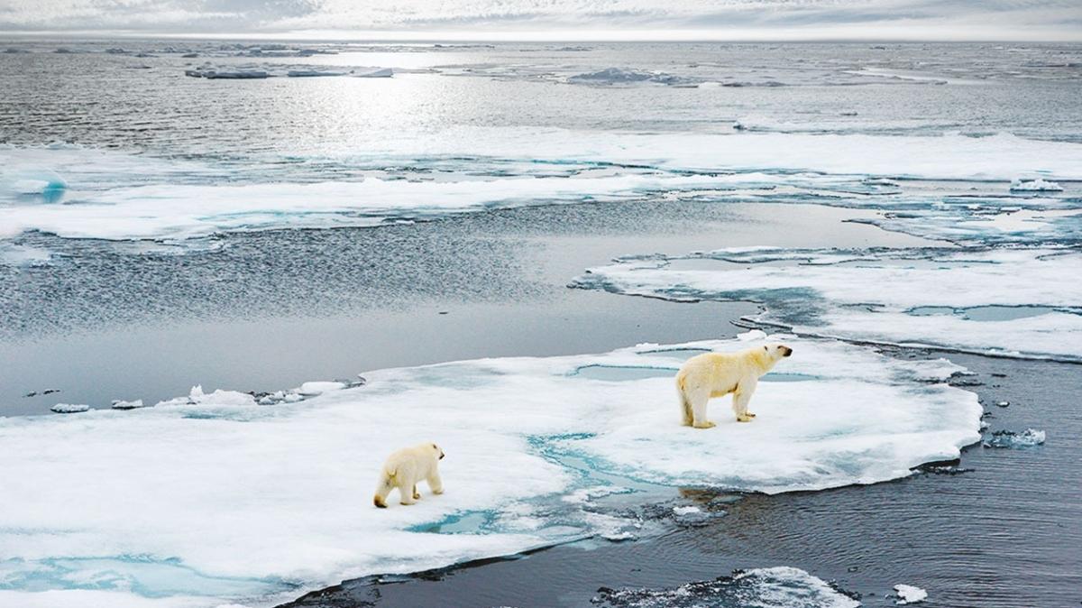 Grnland hzla eriyor! Son 2 gnde 17 milyar ton buzul