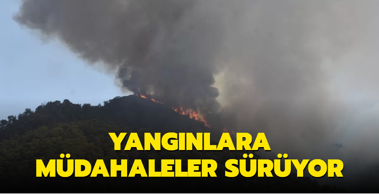 Trkiye'deki yangnlara mdahale ediliyor