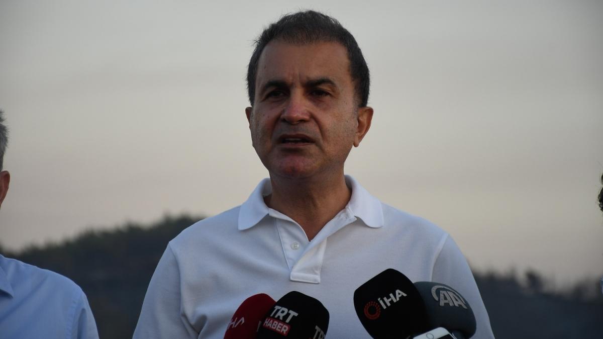 AK Parti'li Çelik'ten Adana'da orman yangınlarıyla ilgili açıklama