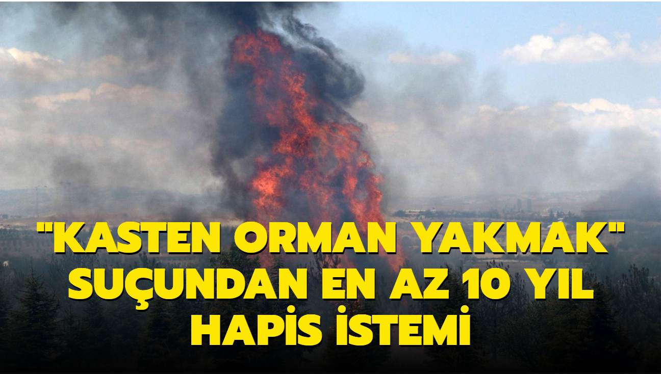 Atatrk Orman iftlii soruturmasnda 'Kasten orman yakmak' suundan en az 10 yl hapis istemi