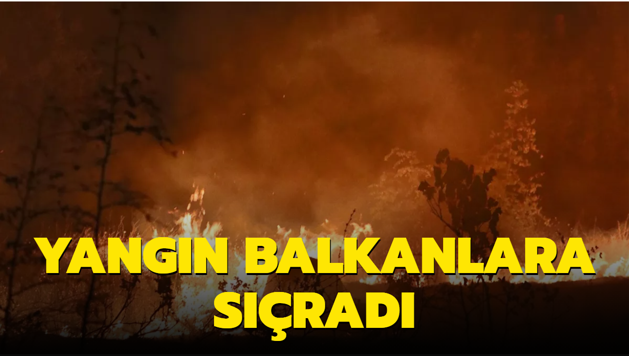Balkanlara srad... Kuzey Makedonya'nn dousunda orman yangn