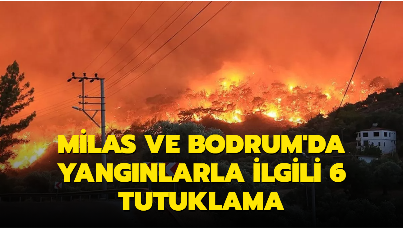Milas ve Bodrum'da yangnlarla ilgili 6 tutuklama