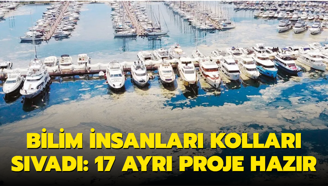 Deniz salyas, biyolojik artma ile sonlandrlacak